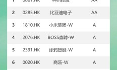 2024年49家港股公司退市 超六成被强制除牌