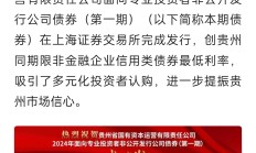 证券行业最大并购案获上交所审议通过