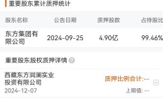 申万宏源投行业务净收入同比降超四成 去年被处罚C类保代近期高升