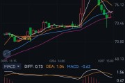 海光信息、中科曙光复牌大涨，信创ETF却集体大跌，竟是“埋伏”资金在捣鬼？