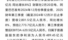 中国建材集团财务公司2024年实现营收7.63亿元 净利4897.85万元