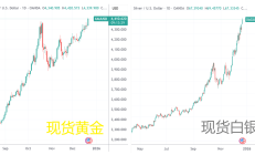 国际金价迭创新高 基金认为黄金股有望迎来新一轮主升浪