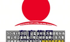 东方集团处罚和退市程序启动 立体追责救济同步跟进