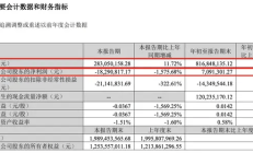 睿智医药上半年业绩逆势突围，战略重构开启成长新周期