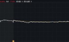 营利双降 “味精大王”触及天花板？