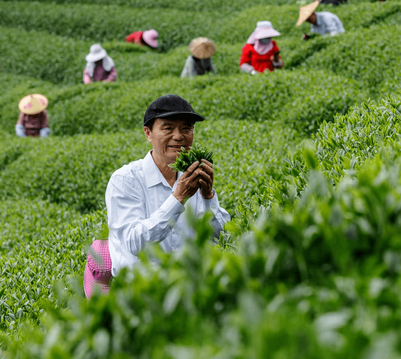 巴安水务拟2327.38万元转让资产 董事高山反对：相关资产已被强制执行，无法认同该做法