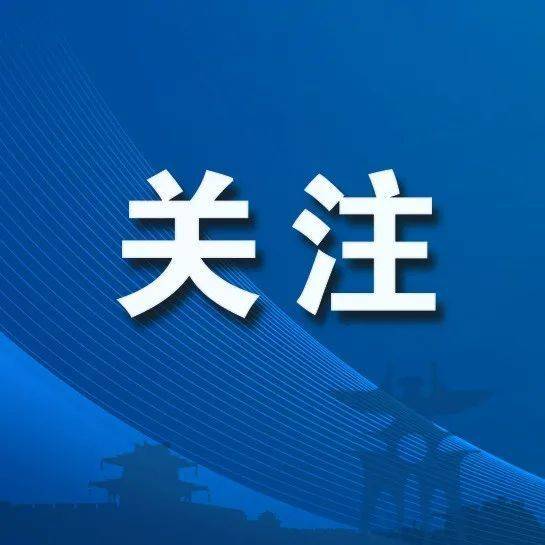 中介机构自身“立得住”才能“支得稳”