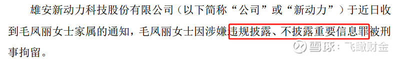 新动力实控人毛凤丽和财务总监王子龙被刑拘