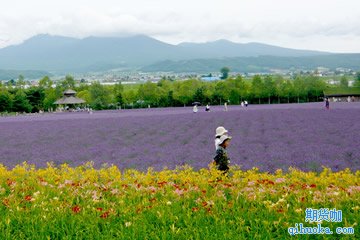 大商所启动2024年“农民收入保障计划”