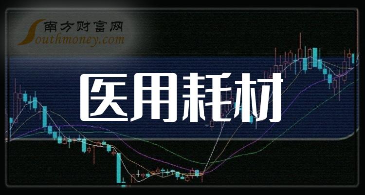 黑芝麻2024年上半年净利润下滑36.88% 今年内股价已跌超40%