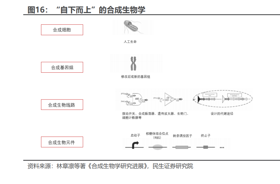 “双引擎”驱动 券商财富管理打开新空间