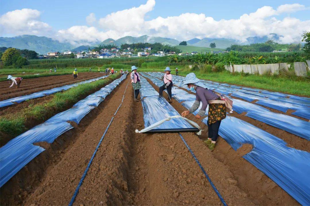 “我们的澜沧”乡村生态振兴座谈会在澜沧召开