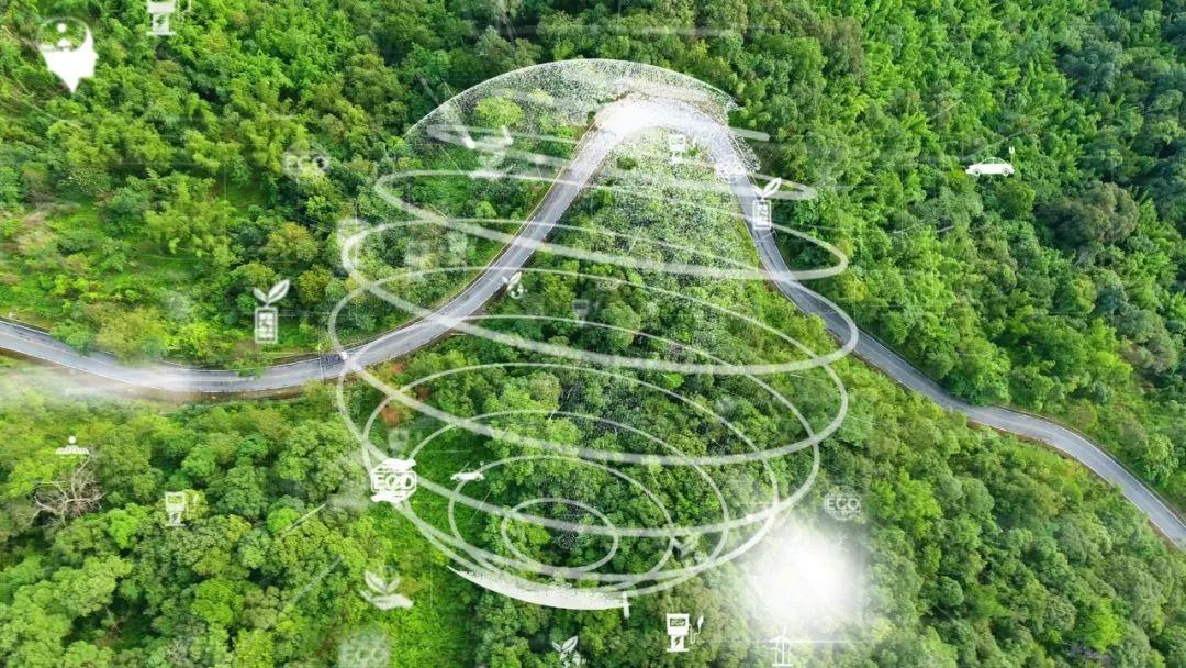 锚定“双碳”工作新部署 上市公司争相布局绿色转型