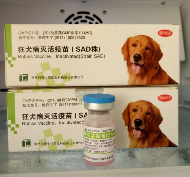 艾美无血清狂犬疫苗获受理上市注册 重新定义无血清狂犬病疫苗