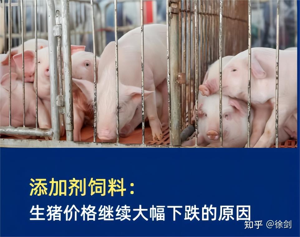 多家养殖上市公司披露2月份销售数据 行业或迎微利周期