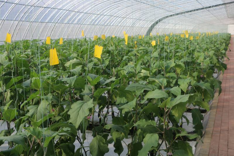 透视13家上市银行一季报：加码对公业务 科技、绿色等领域贷款增速显著