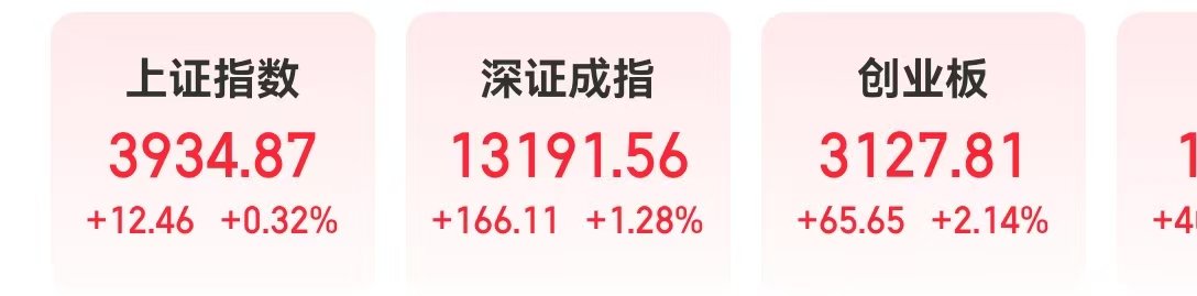 1.05亿股！2024年至今发行数最多的创业板新股来了