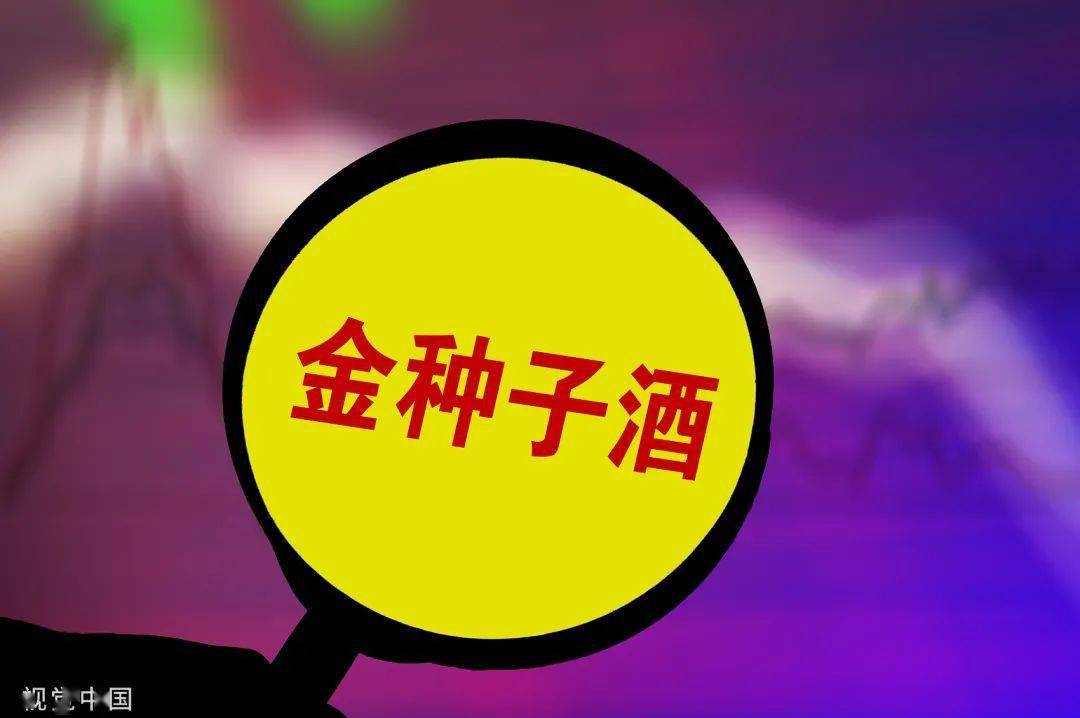 长鸿高科上半年扣非亏损 拟向实控人买连亏两年的公司