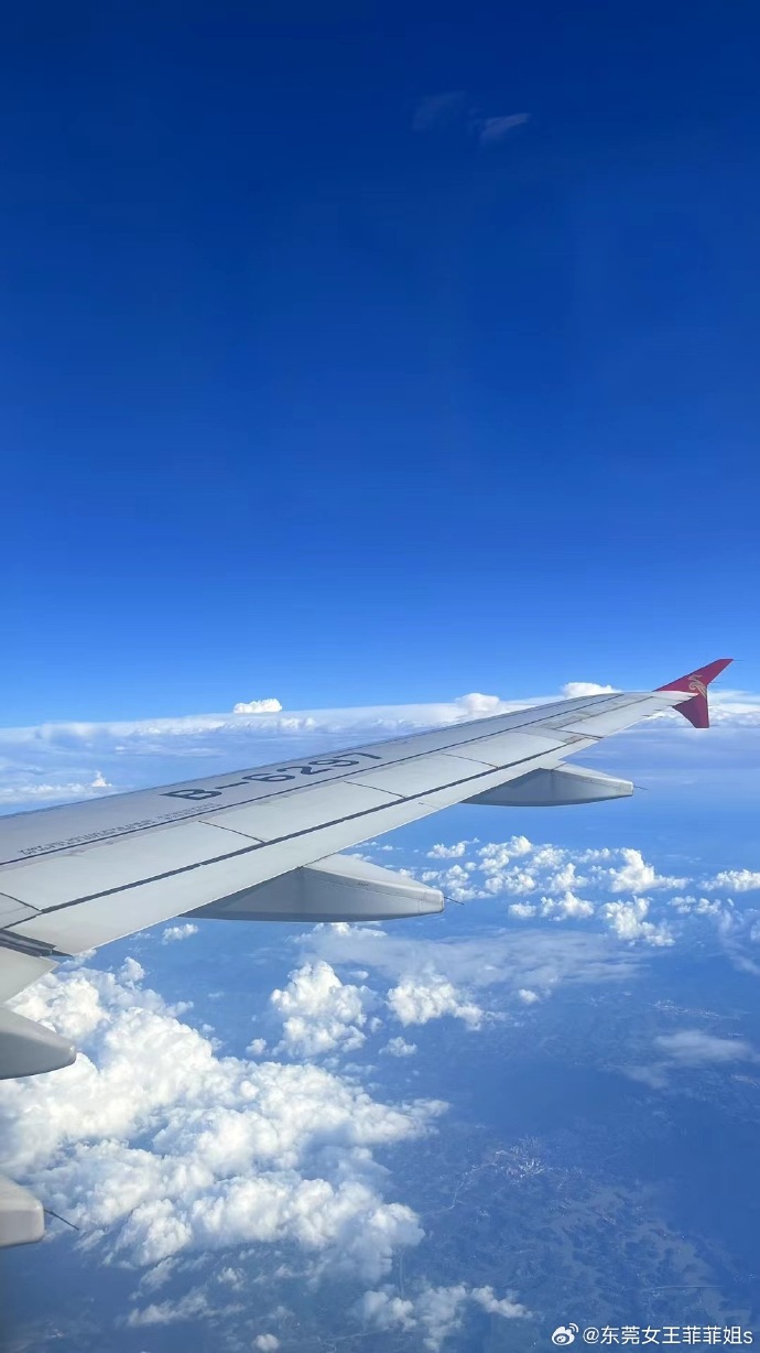 耗资9.56亿元定增入主 同程旅行拿下大连圣亚控股权