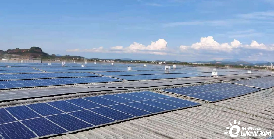 晶科科技高层人事大变动，沙江海接替王洪出任总经理