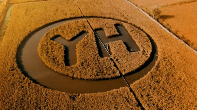 光伏大洗牌中场战事：出货榜单暗藏苦楚，产业链涨价乏力