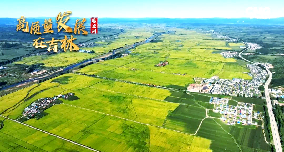 扎根边疆护航发展 中国人保绘就服务新疆高质量发展新画卷