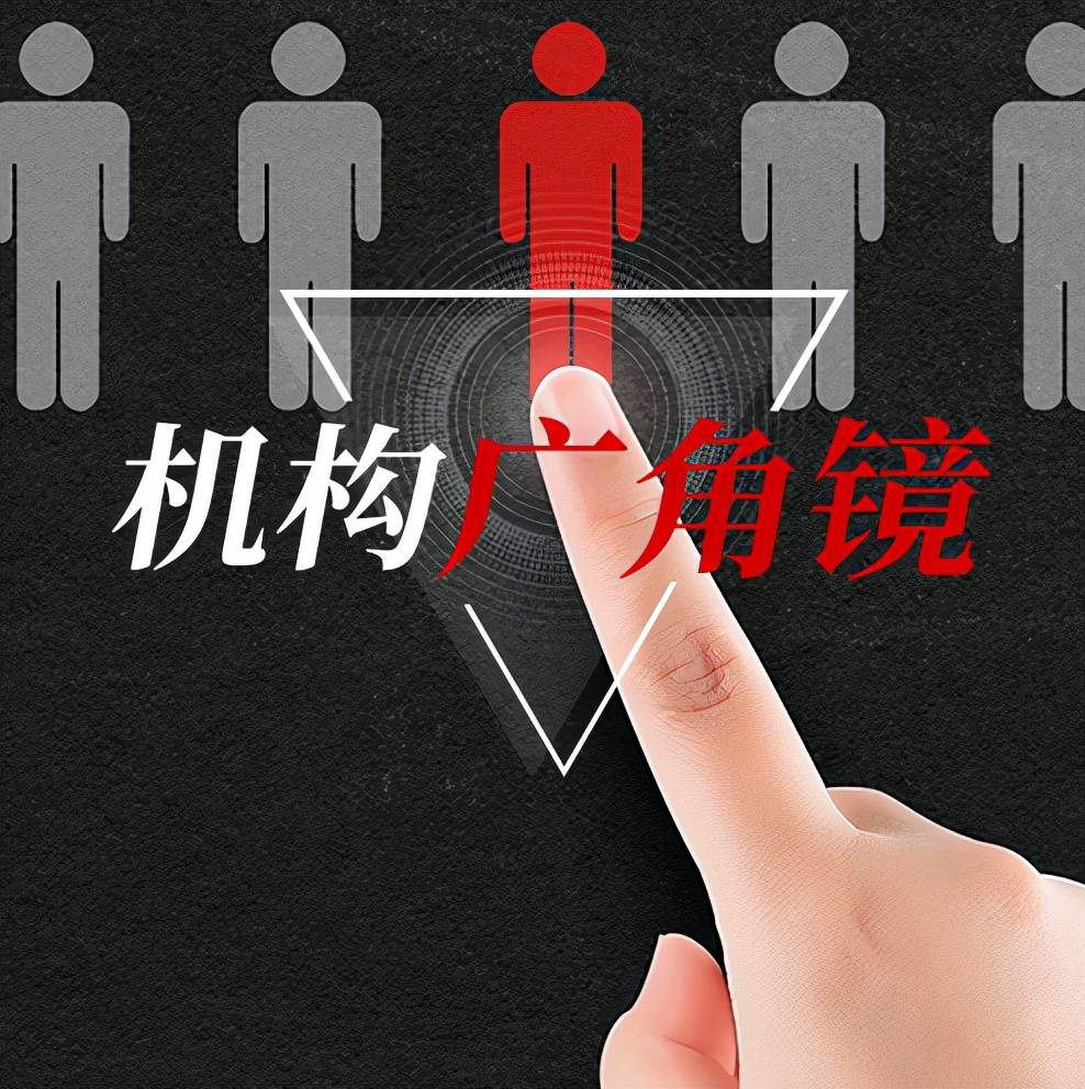 尘埃落定!2025年主动权益基金冠军诞生