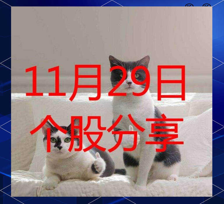 三季报是精选个股好时机