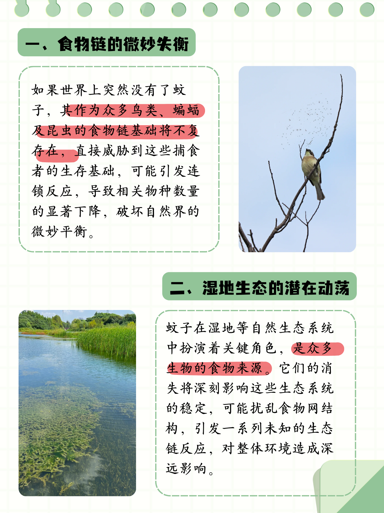 唠“科”话丨为啥蚊子总叮你？“招蚊”跟血型相关？